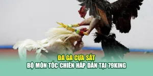 Đá Gà Cựa Sắt – Bộ Môn Tốc Chiến Hấp Dẫn Tại 79King