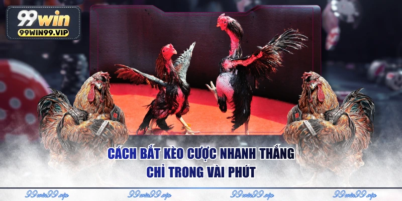 Cách bắt kèo cược nhanh thắng chỉ trong vài phút