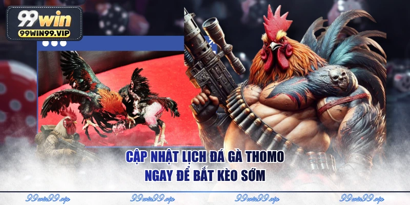 Cập nhật lịch đá gà Thomo ngay để bắt kèo sớm