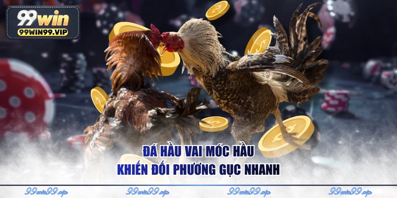 Đá hầu vai móc hầu khiến đối phương gục nhanh