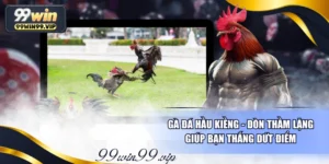 Gà Đá Hầu Kiềng - Đòn Thầm Lặng Giúp Bạn Thắng Dứt Điểm