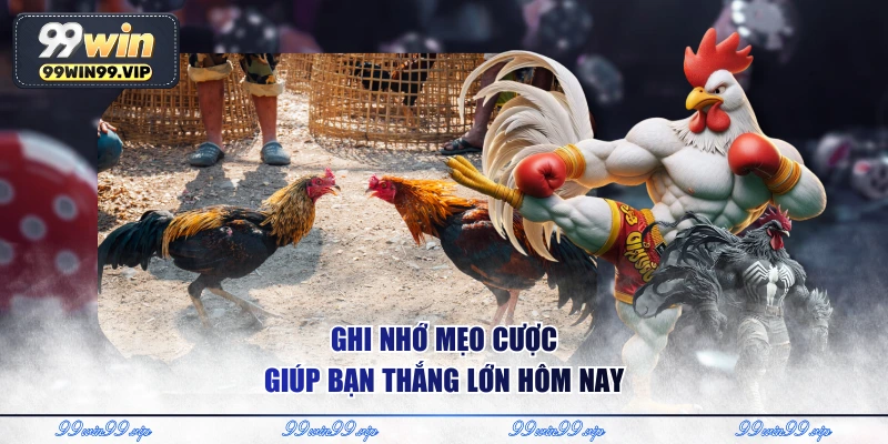 Ghi nhớ mẹo cược giúp bạn thắng lớn hôm nay