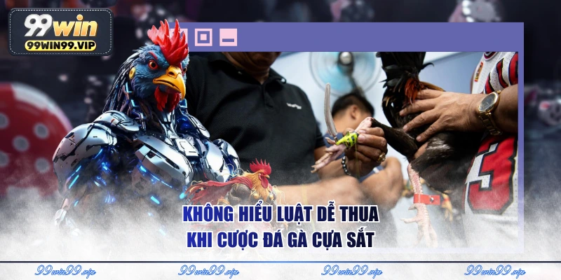 Không hiểu luật dễ thua khi cược đá gà cựa sắt