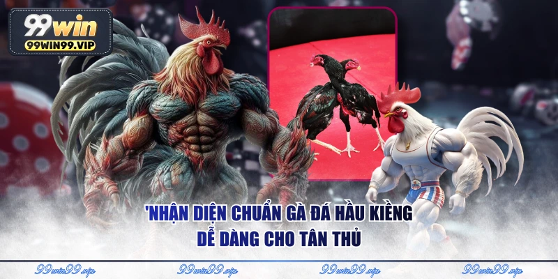'Nhận diện chuẩn gà đá hầu kiềng dễ dàng cho tân thủ