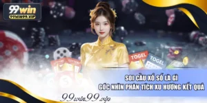 Soi Cầu Xổ Số Là Gì - Góc Nhìn Phân Tích Xu Hướng Kết Quả