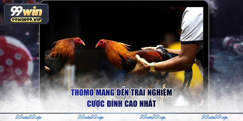 Thomo mang đến trải nghiệm cược đỉnh cao nhất