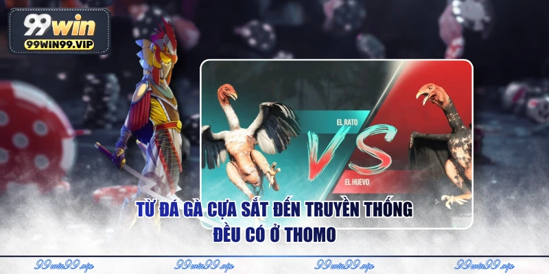 Từ đá gà cựa sắt đến truyền thống đều có ở Thomo
